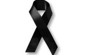 Adieu "MOMO"