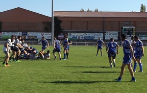 Déplacement à Lisle sur Tarn 