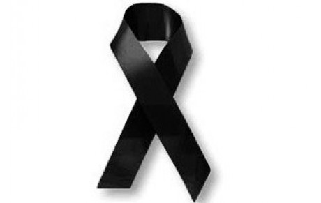 Adieu &quot;MOMO&quot;