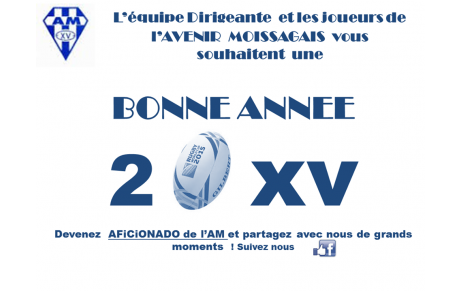 Voeux 2015